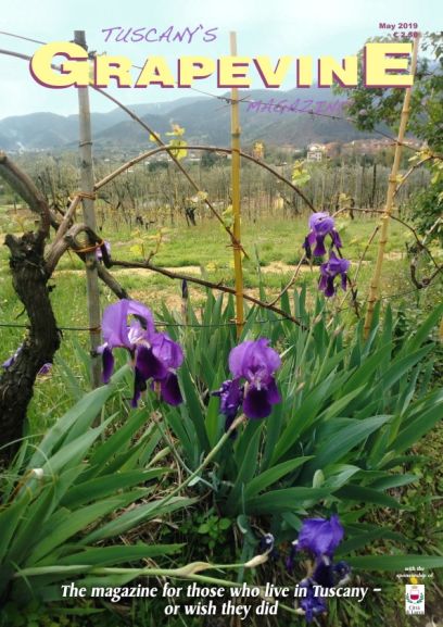 Lucca, Tuscany, Italy, What's On.